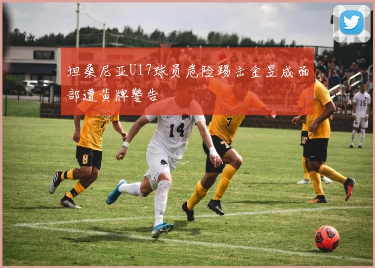 坦桑尼亚U17球员危险踢击金昱成面部遭黄牌警告